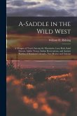 A-saddle in the Wild West; a Glimpse of Travel Among the Mountains, Lava Beds, Sand Deserts, Adobe Towns, Indian Reservations, and Ancient Pueblos of