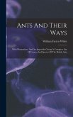 Ants And Their Ways