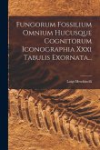 Fungorum Fossilium Omnium Hucusque Cognitorum Iconographia Xxxi Tabulis Exornata...