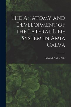 The Anatomy and Development of the Lateral Line System in Amia Calva - Allis, Edward Phelps