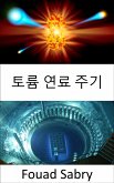 토륨 연료 주기 (eBook, ePUB)