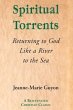 Spiritual Torrents (eBook, ePUB) - Bild 1