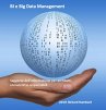 BI e Big Data Management (eBook, ePUB) - Bild 1