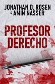 Profesor Derecho (eBook, ePUB)