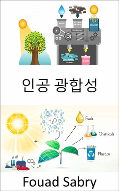 인공 광합성 (eBook, ePUB) - Sabry, Fouad