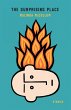 Surprising Place (eBook, ePUB) - Bild 1