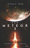 Der Meteor 3 (eBook, ePUB)