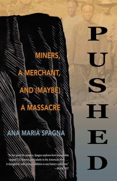 Pushed (eBook, ePUB)