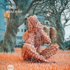 Cover Gueule De Boa