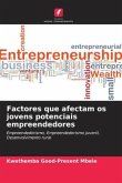 Factores que afectam os jovens potenciais empreendedores