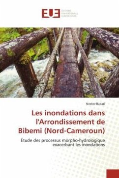 Les inondations dans l'Arrondissement de Bibemi (Nord-Cameroun) - Bakari, Nestor