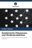 Kombinierte Pekannuss- und Rinderproduktion