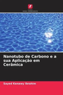 Nanotubo de Carbono e a sua Aplicação em Cerâmica - Ibrahim, Sayed Kenawy