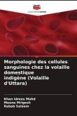 Morphologie des cellules sanguines chez la volaille domestique indigène (Volaille d'Uttara)