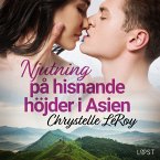 Njutning på hisnande höjder i Asien - erotisk novell (MP3-Download)