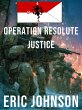 2-4 Cavalry Book 10: Operation Resolute... - Bild 1