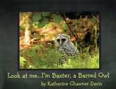 Look at Me... I'm Baxter, a Barred Owl
