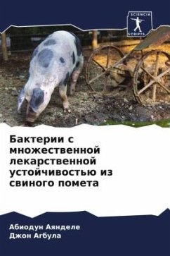 Bakterii s mnozhestwennoj lekarstwennoj ustojchiwost'ü iz swinogo pometa - Aqndele, Abiodun;Agbula, Dzhon