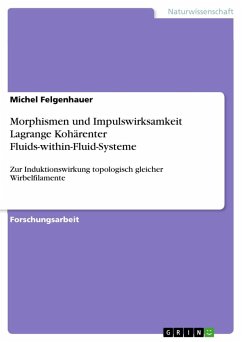 Morphismen und Impulswirksamkeit Lagrange Kohärenter Fluids-within-Fluid-Systeme - Felgenhauer, Michel
