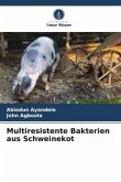 Multiresistente Bakterien aus Schweinekot