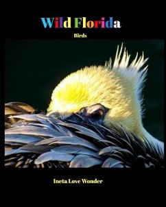 Wild Florida - Wonder, Ineta Love