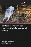 Batteri multifarmaco-resistenti dallo sterco di maiale