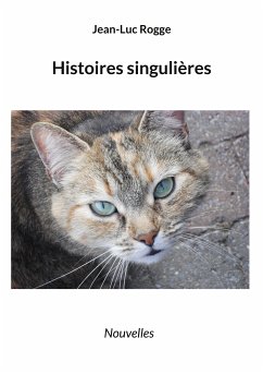 Histoires singulières (eBook, ePUB) - Rogge, Jean-Luc