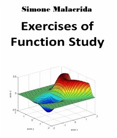 Exercises of Function Study (eBook, ePUB) - Malacrida, Simone