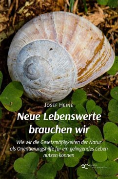 Neue Lebenswerte brauchen wir (eBook, ePUB) - Heine, Josef