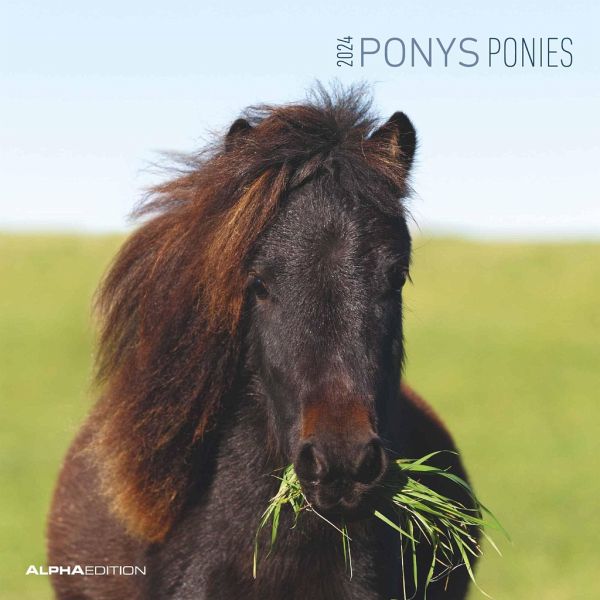 Ponys 2024 Broschürenkalender 30x30 cm (30x60 Kalender