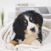 Hunde 2024 - Broschürenkalender 30x30 cm (30x60 geöffnet) - Kalender mit Platz für Notizen - Dogs - Bildkalender - Wandkalender - Hundekalender