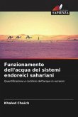 Funzionamento dell'acqua dei sistemi endoreici sahariani