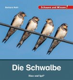 Die Schwalbe