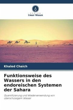 Funktionsweise des Wassers in den endoreischen Systemen der Sahara - Chaïch, Khaled