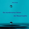 Die wundersamen Reisen der Wassertropfen - Bild 1