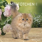 Samtpfötchen 2024 - Broschürenkalender 30x30 cm (30x60 geöffnet) - Kalender mit Platz für Notizen - inkl. herausnehmbarem Poster - Bildkalender Samtpfötchen 2024 - Broschürenkalender 30x30 cm (30x60 geöffnet) - Kalender mit Platz für Notizen - inkl. herausnehmbarem Poster - Bildkalender
