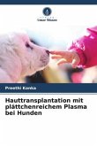 Hauttransplantation mit plättchenreichem Plasma bei Hunden