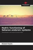 Hydric functioning of Saharan endoreic systems