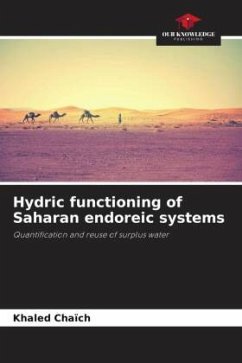 Hydric functioning of Saharan endoreic systems - Chaïch, Khaled