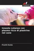 Innesto cutaneo con plasma ricco di piastrine nel cane