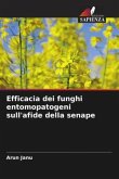 Efficacia dei funghi entomopatogeni sull'afide della senape
