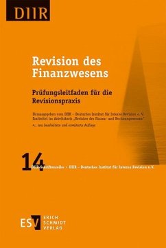 Revision des Finanzwesens - DIIR - Arbeitskreis "Revision des Finanz- und Rechnungswesens"