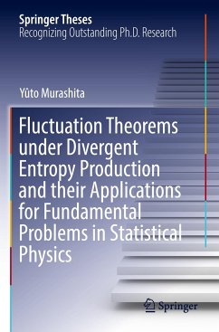 Fluctuation Theorems under Divergent Entropy Production and their Applications for Fundamental Problems in Statistical Physics - Murashita, Yûto