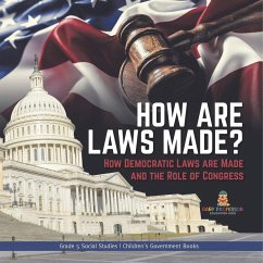 How are Laws Made? - Baby