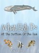 What Fish Do At The Bottom Of The Sea - Bild 1