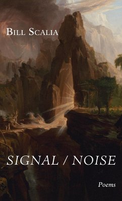 Signal / Noise