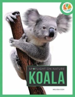 Spotlight on Nature: Koala - Gah, Melissa
