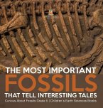 The Most Important Fossils That Tell Interesting Tales   Curious About Fossils Grade 5   Children's Earth Sciences Books