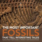 The Most Important Fossils That Tell Interesting Tales   Curious About Fossils Grade 5   Children's Earth Sciences Books
