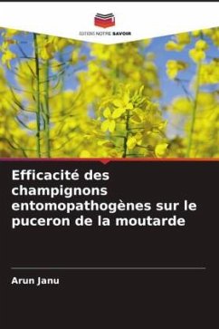 Cover Efficacité des champignons entomopathogènes sur le puceron de la moutarde